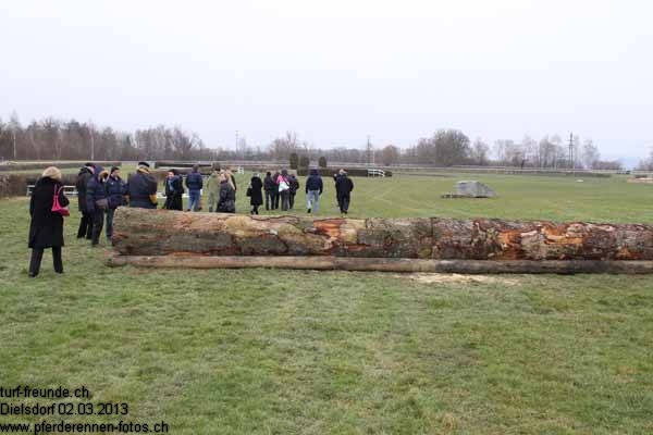 IMG 0041 prot